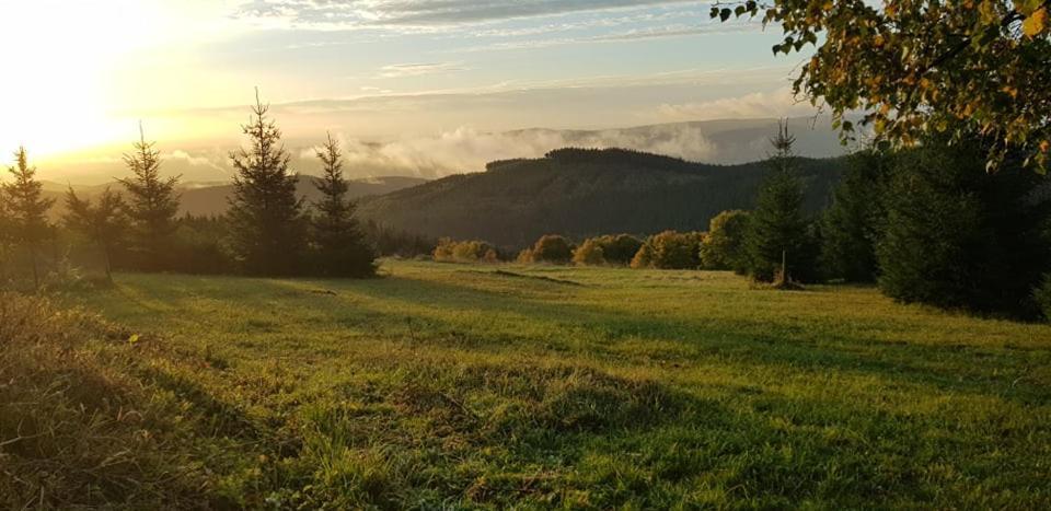 Chata Jeleni Drevenice S Vlastni Virivkou Horni Halze Exterior foto